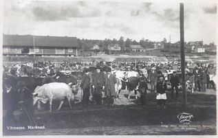 1920-tal Värnamo marknad vykort foto Ida Lundberg